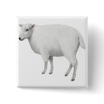 Sheep Pin buttons