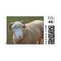 Sheep postage