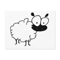 Sheep Postcard