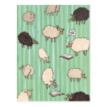 Sheep postcards