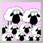 Sheep Posters