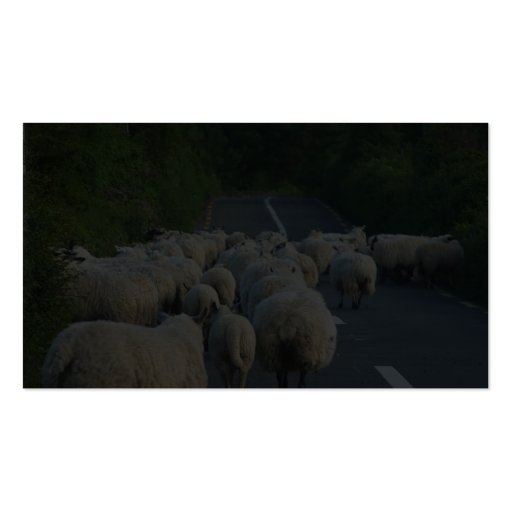 Sheep Roads Lambs Business Card (back side)