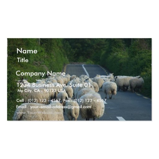 Sheep Roads Lambs Business Card (front side)