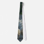 Sheep Roads Lambs ties