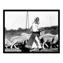 Sheep Shepherdess in Bulgaria 1890 posters by lc_vintagephotos Sheep Shepherdess in Bulgaria 1890 posters