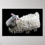 Sheep slipper on black. posters
