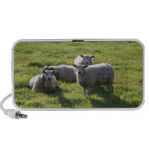 Sheep Portable Speakers