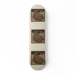 Sheep - Square Animals Illustration Skateboard Deck