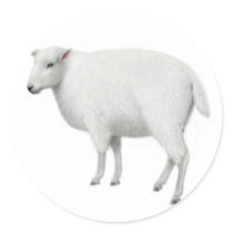 Sheep Sticker