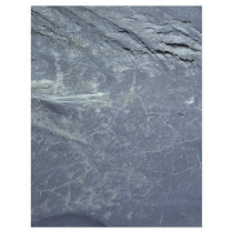 Sheep Trails in Marsh - Aerial View Flyers
