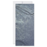 Sheep Trails in Marsh - Aerial View Custom Rack Cards