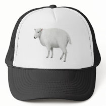Sheep Truckers Hat
