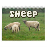 Sheep Wall Calendar