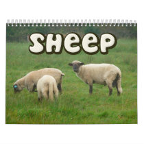 Sheep Wall Calendar