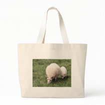 Sheep with lamb bags