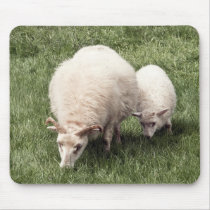 Sheep with lamb mousepads