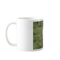 Sheep with lamb mugs