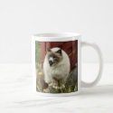 Sheepcat mug