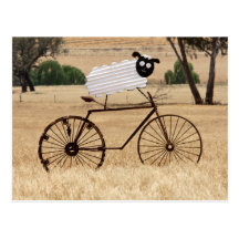 SheepThrills Postcard