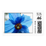 Sheer Blue stamp