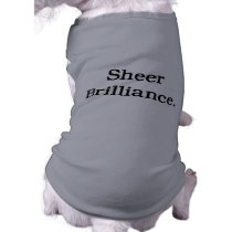 Sheer Brilliance. pet clothing by toxiferouswarehouse Sheer Brilliance. pet clothing