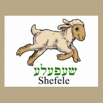 Shefele-lamb in Yiddish postcards