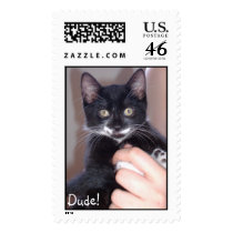 shego 06 postage by md_boyle707 shego 06 postage