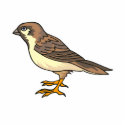 Shekka Sparrow
