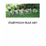 Shelburne Dogpark/Stabyhoun Tank Top