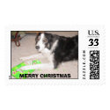 Shelby-bordercollie project 013, MERRY CHRISTMAS postage