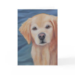 Shelby Greeting Card