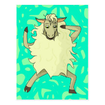 Shelby Sheep Postcard