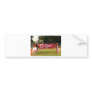 Sheldon Football League Cougars Under 8 Bumper Sticker