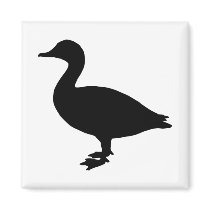 Sheldrake Duck magnets