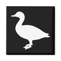 Sheldrake Duck magnets