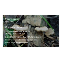 Shelf Mushroom Business Card Template