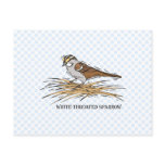 Shelka Sparrow Postcards