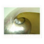 Shell #4 posters
