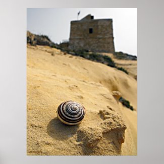Shell and Tower, Gozo print