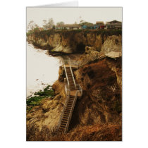 Shell Beach Greeting Cards