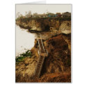 Shell Beach cards