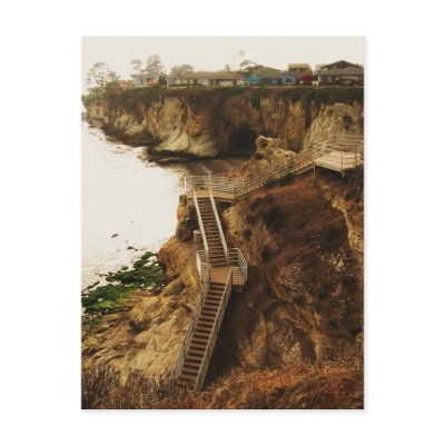 Shell Beach Postcard by sumiko