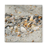 Shell cache magnets