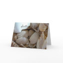Shell Card