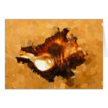 shell cards