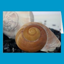 Shell Card cards