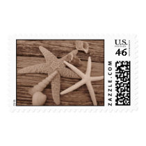 Shell Collection Postage