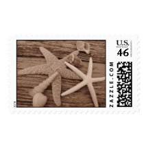 Shell Collection Postage