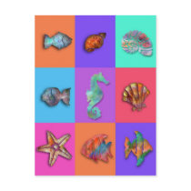 Shell Collection Post Card