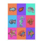Shell Collection postcards